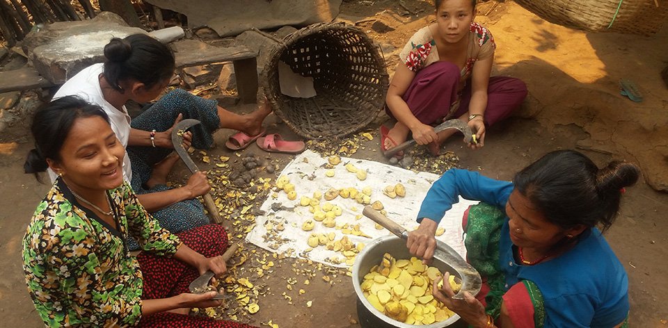 कोरोनाले काम गुमेपछि चेपाङ बस्तीमा अनिकाल, गिट्ठा र चिउरीकाे भर